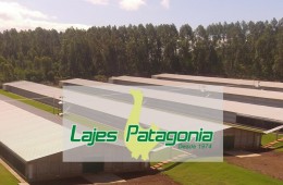 Lajes Patagonia projeta bons negócios durante a AveSui 2018