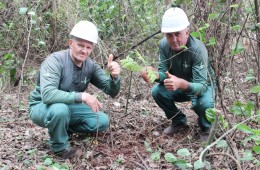 Lajes Patagonia realiza ações de preservação ambiental